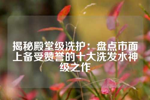 揭秘殿堂级洗护：盘点市面上备受赞誉的十大洗发水神级之作