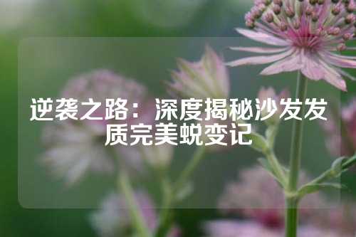 逆袭之路：深度揭秘沙发发质完美蜕变记