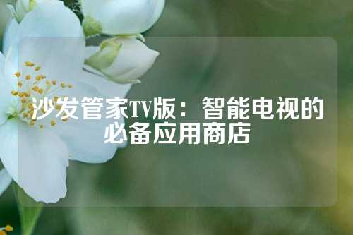 沙发管家TV版:智能电视的必备应用商店