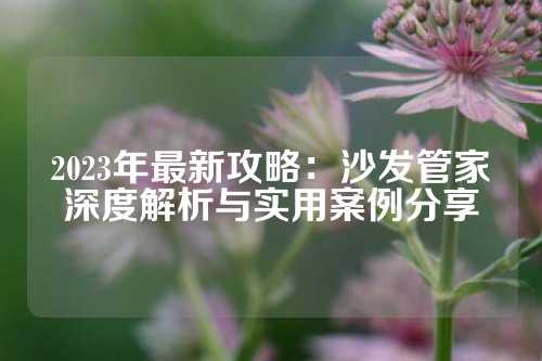 2023年最新攻略：沙发管家深度解析与实用案例分享