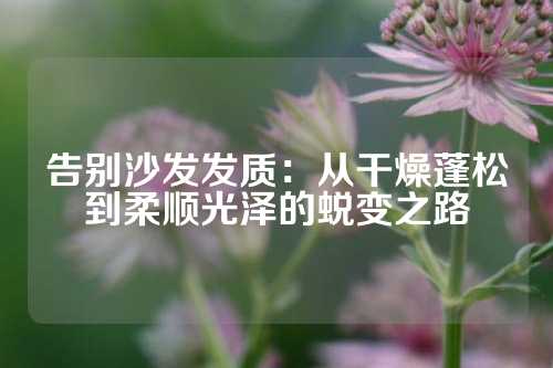 告别沙发发质：从干燥蓬松到柔顺光泽的蜕变之路