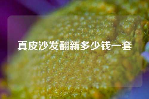 真皮沙发翻新多少钱一套