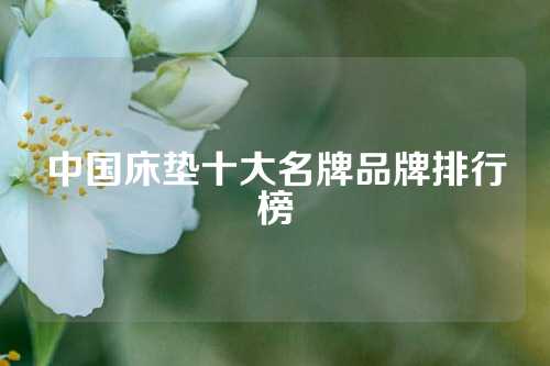 中国床垫十大名牌品牌排行榜