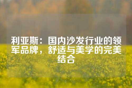 利亚斯：国内沙发行业的领军品牌，舒适与美学的完美结合
