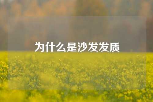 为什么是沙发发质