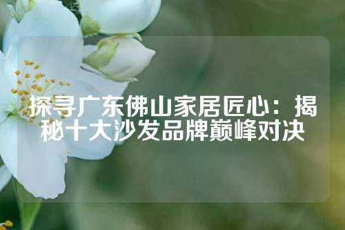探寻广东佛山家居匠心：揭秘十大沙发品牌巅峰对决