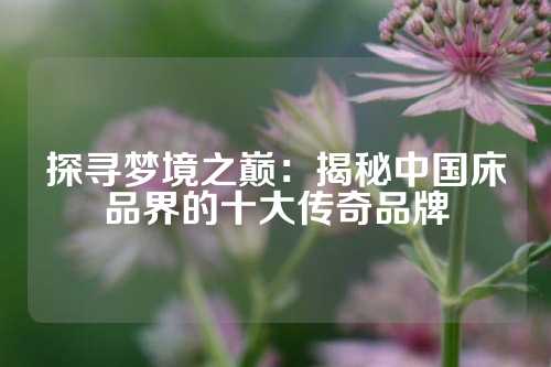 探寻梦境之巅：揭秘中国床品界的十大传奇品牌