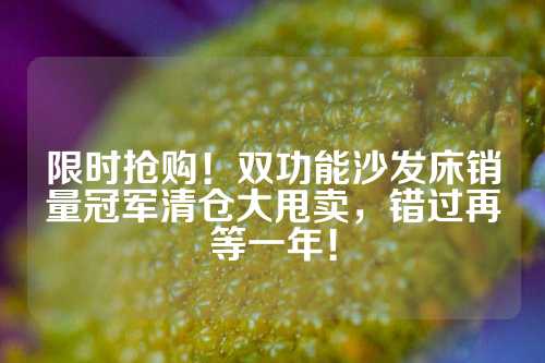 限时抢购！双功能沙发床销量冠军清仓大甩卖，错过再等一年！