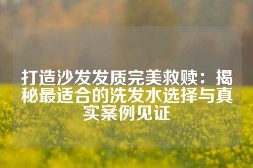 打造沙发发质完美救赎：揭秘最适合的洗发水选择与真实案例见证