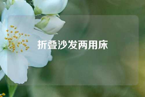 折叠沙发两用床