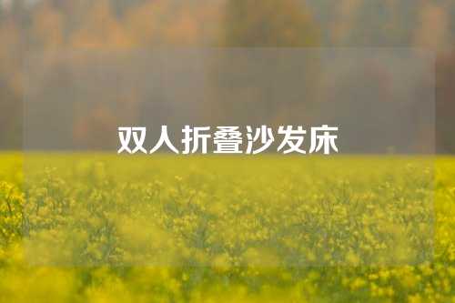 双人折叠沙发床
