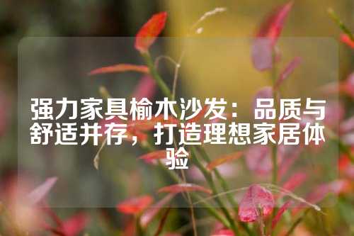 强力家具榆木沙发：品质与舒适并存，打造理想家居体验