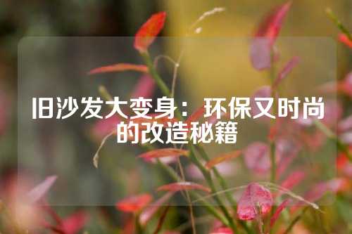 旧沙发大变身：环保又时尚的改造秘籍