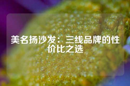 美名扬沙发：三线品牌的性价比之选