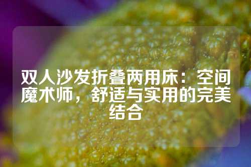 双人沙发折叠两用床：空间魔术师，舒适与实用的完美结合