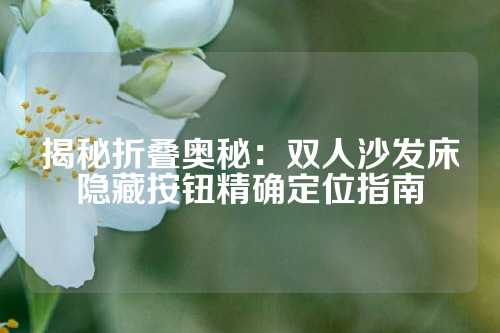 揭秘折叠奥秘：双人沙发床隐藏按钮精确定位指南