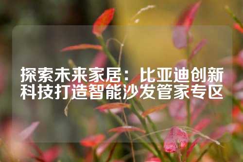 探索未来家居：比亚迪创新科技打造智能沙发管家专区