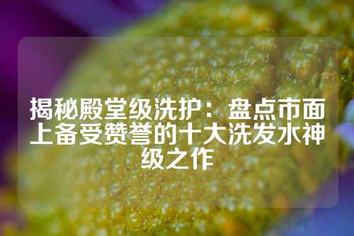 揭秘殿堂级洗护:盘点市面上备受赞誉的十大洗发水神级之作