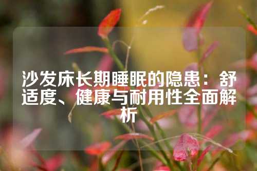 沙发床长期睡眠的隐患：舒适度、健康与耐用性全面解析