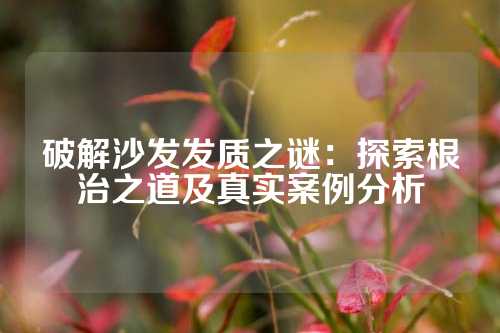 破解沙发发质之谜：探索根治之道及真实案例分析