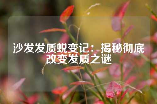 沙发发质蜕变记：揭秘彻底改变发质之谜