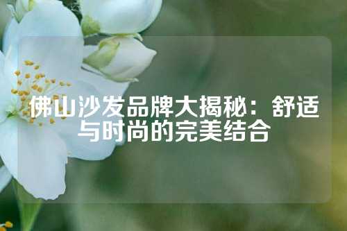 佛山沙发品牌大揭秘：舒适与时尚的完美结合