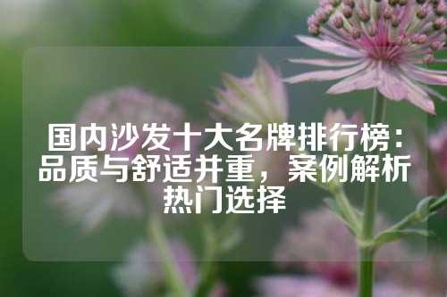 国内沙发十大名牌排行榜:品质与舒适并重,案例解析热门选择