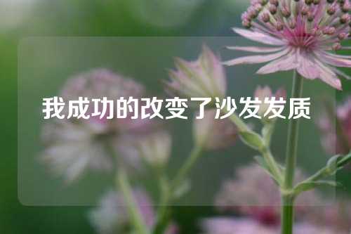 我成功的改变了沙发发质