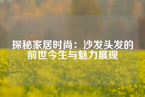 探秘家居时尚：沙发头发的前世今生与魅力展现