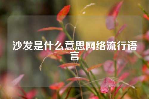 沙发是什么意思网络流行语言