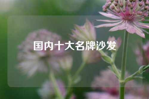 国内十大名牌沙发