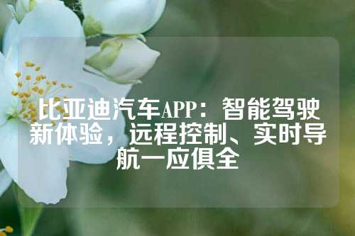 比亚迪汽车APP:智能驾驶新体验,远程控制、实时导航一应俱全