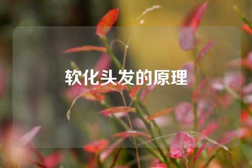 软化头发的原理