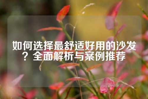 如何选择最舒适好用的沙发？全面解析与案例推荐