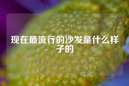 现在最流行的沙发是什么样子的