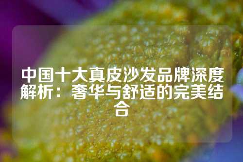 中国十大真皮沙发品牌深度解析：奢华与舒适的完美结合