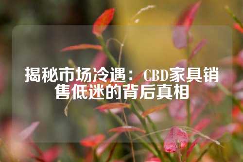揭秘市场冷遇：CBD家具销售低迷的背后真相