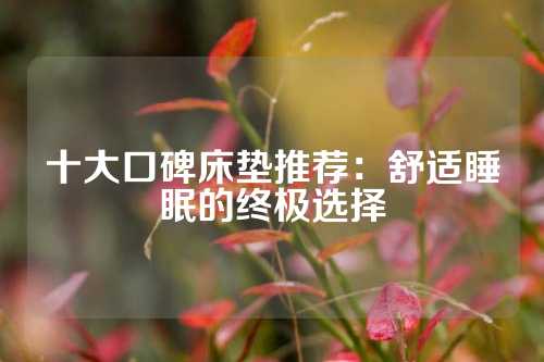 十大口碑床垫推荐：舒适睡眠的终极选择