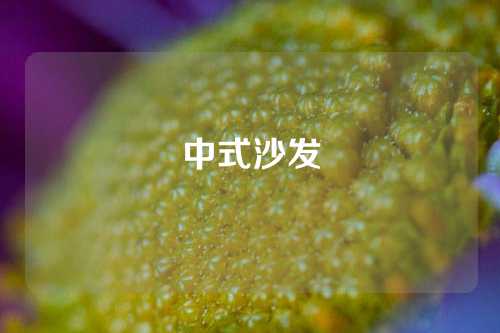 中式沙发