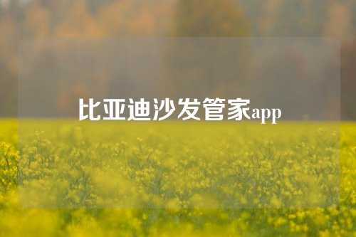比亚迪沙发管家app