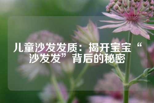儿童沙发发质：揭开宝宝“沙发发”背后的秘密