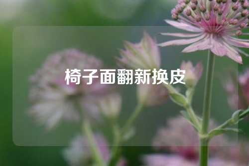 椅子面翻新换皮