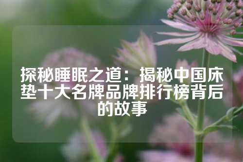 探秘睡眠之道：揭秘中国床垫十大名牌品牌排行榜背后的故事