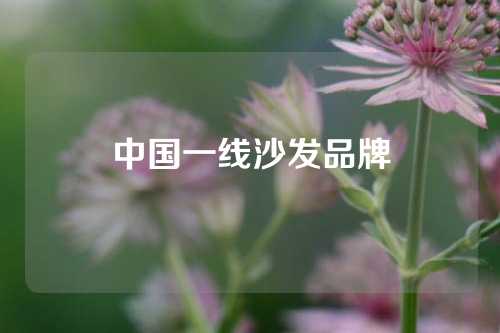 中国一线沙发品牌