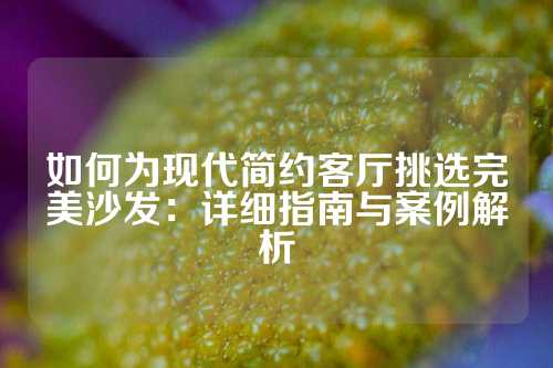 如何为现代简约客厅挑选完美沙发：详细指南与案例解析