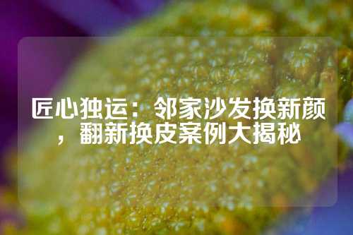 匠心独运：邻家沙发换新颜，翻新换皮案例大揭秘