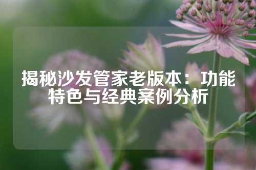 揭秘沙发管家老版本：功能特色与经典案例分析
