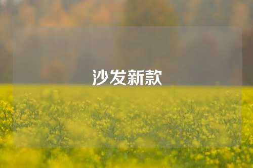 沙发新款