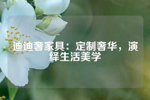 迪迪奢家具：定制奢华，演绎生活美学