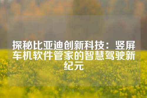 探秘比亚迪创新科技：竖屏车机软件管家的智慧驾驶新纪元
